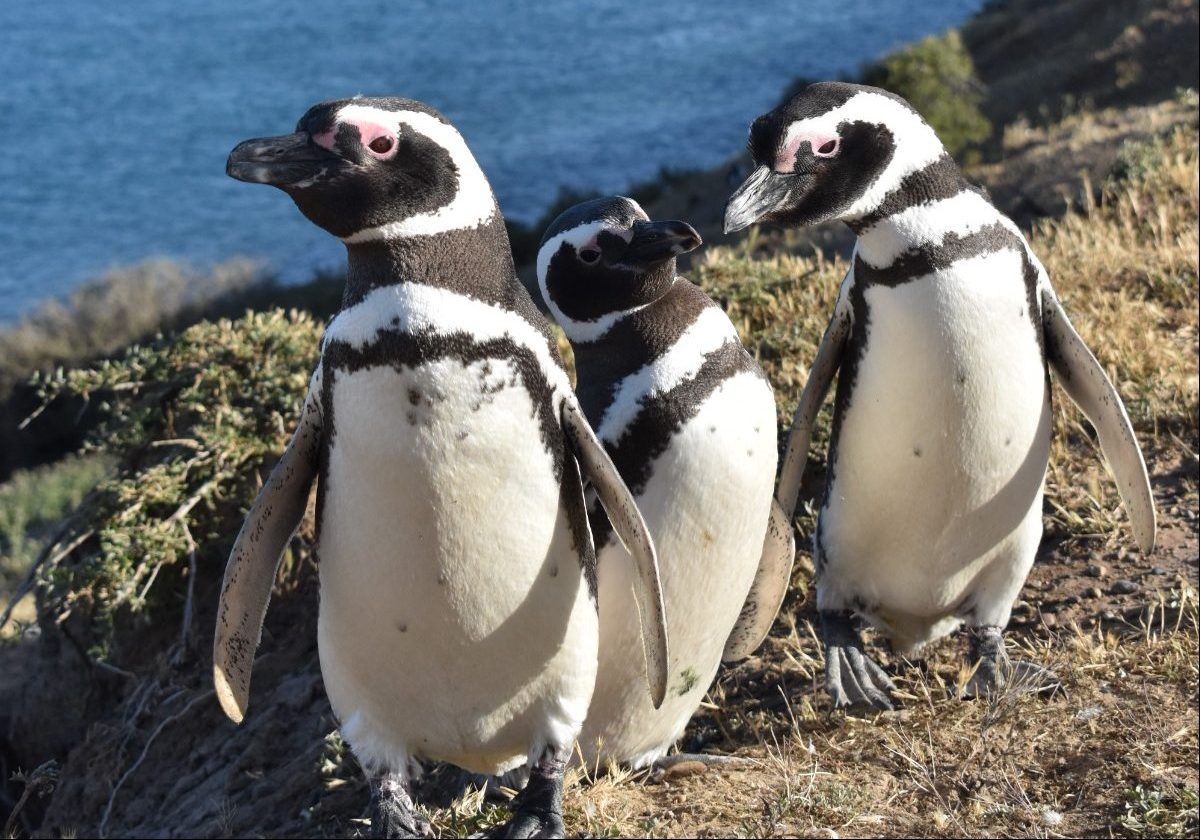 WhatsApp Image 2024-04-16 at 18.06.25