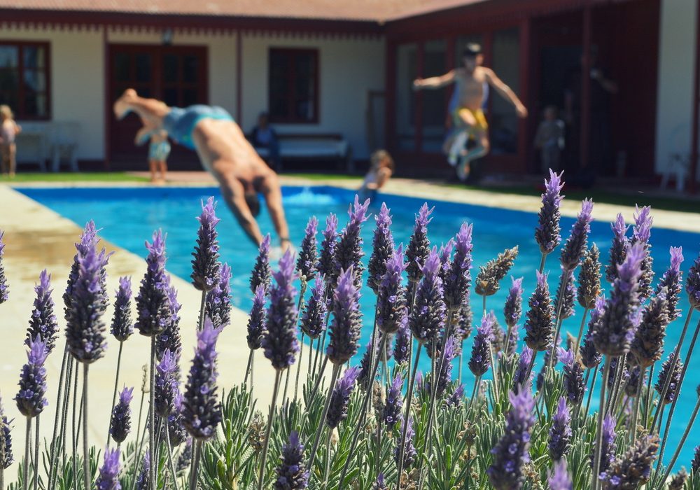 WhatsApp Image 2024-04-17 at 10.37.01 (1)