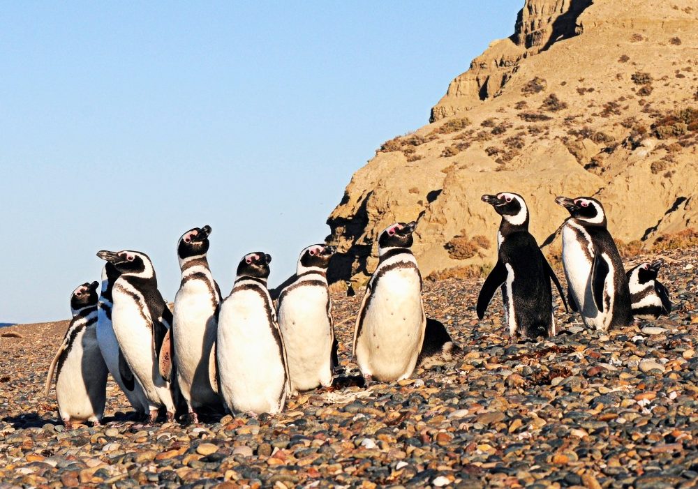 WhatsApp Image 2024-04-17 at 10.37.02