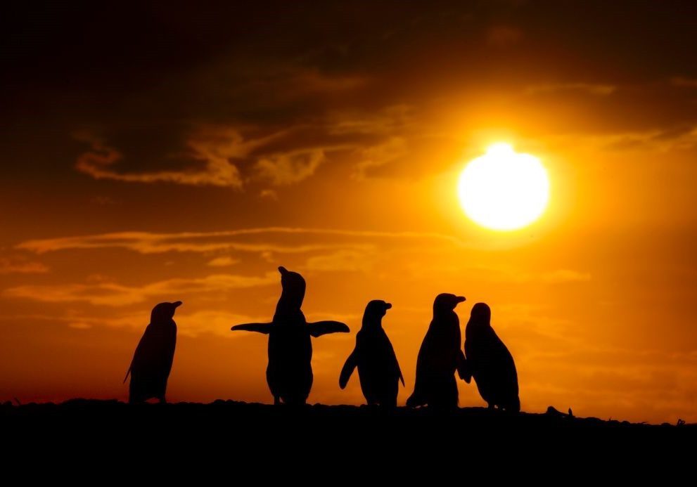 WhatsApp Image 2024-04-17 at 11.16.27