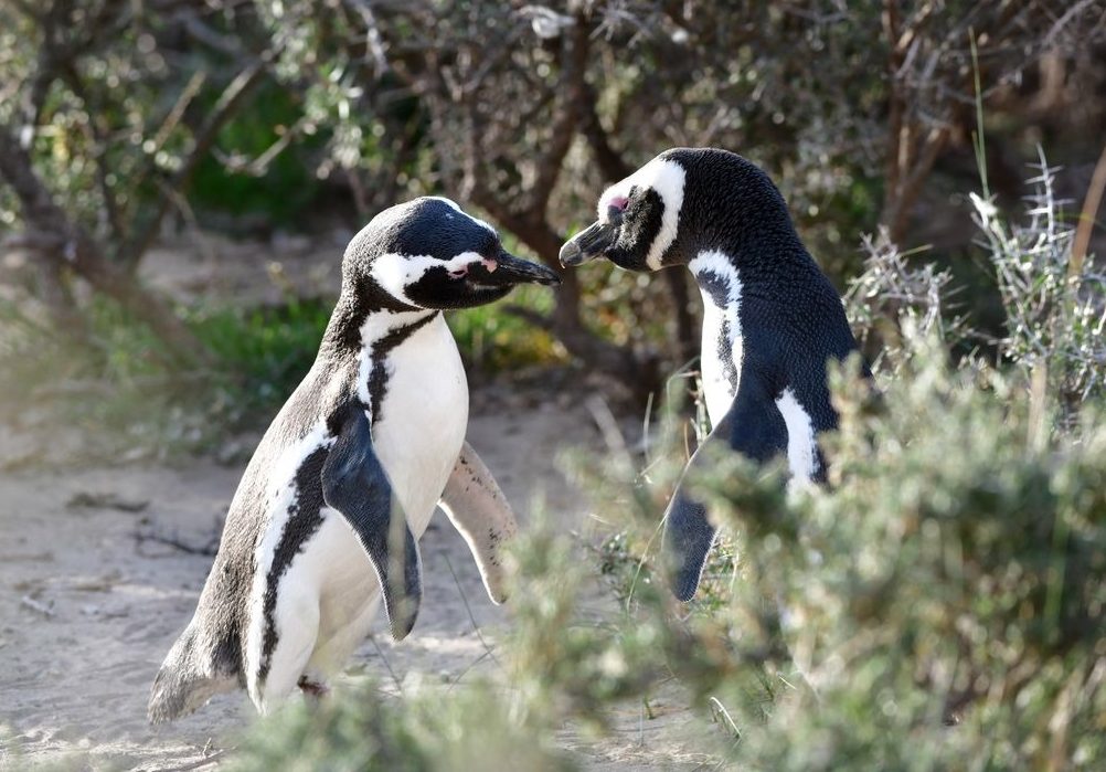 WhatsApp Image 2024-04-17 at 11.16.28 (1)