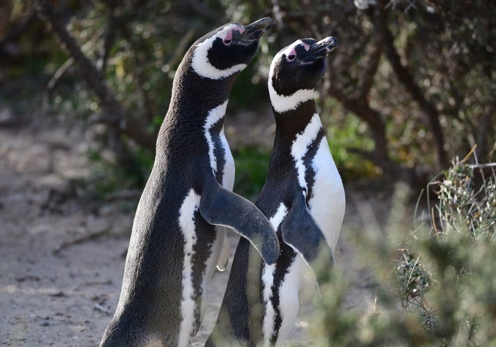 WhatsApp Image 2024-04-17 at 11.16.28