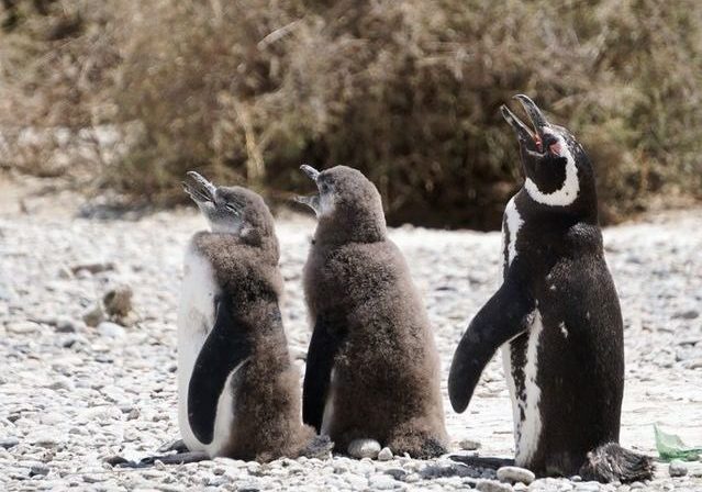 WhatsApp Image 2024-04-17 at 11.16.29 (1)