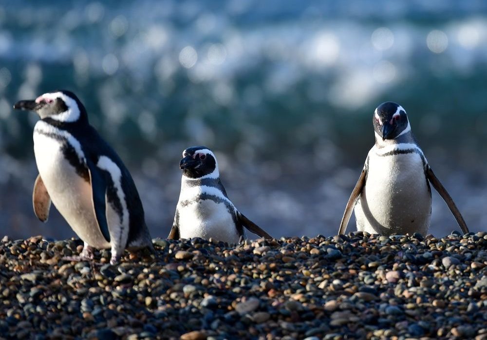 WhatsApp Image 2024-04-17 at 11.16.29 (2)