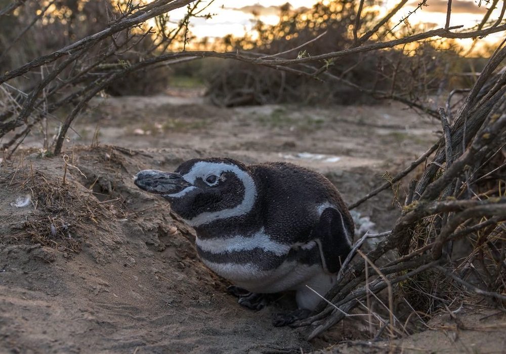 WhatsApp Image 2024-04-17 at 11.16.29