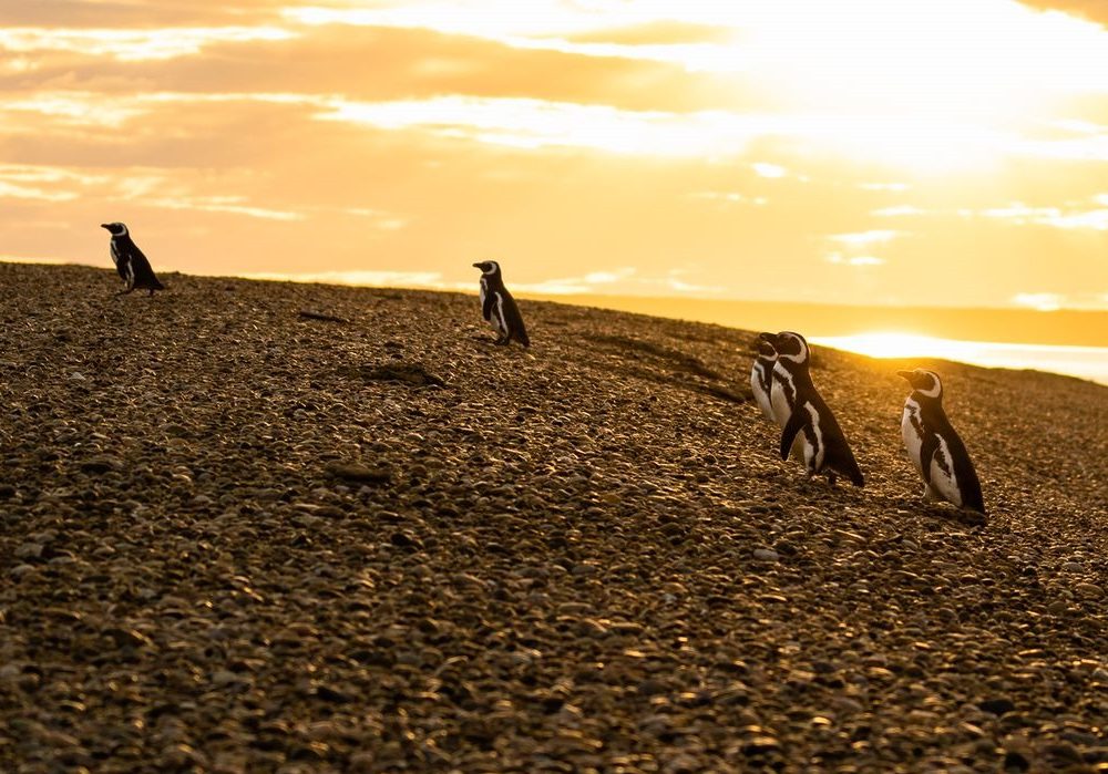 WhatsApp Image 2024-04-17 at 11.16.30 (2)