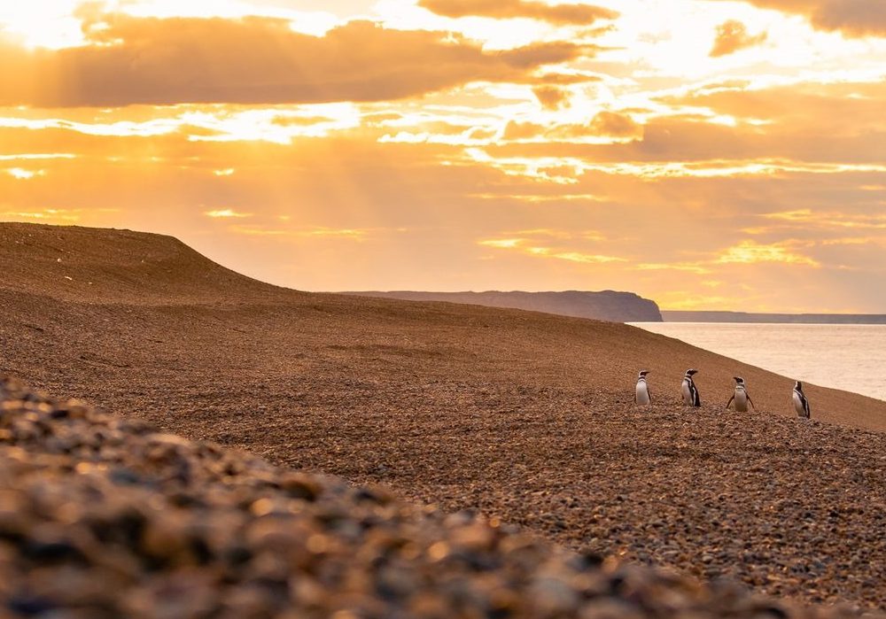 WhatsApp Image 2024-04-17 at 11.16.30