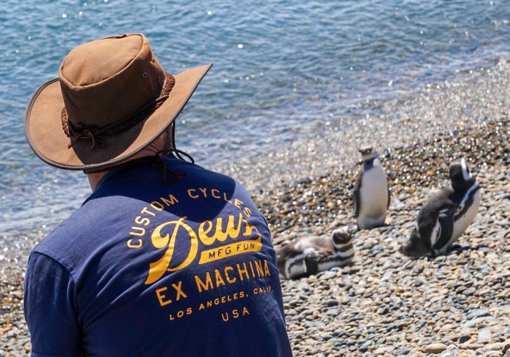 WhatsApp Image 2024-04-17 at 11.20.16