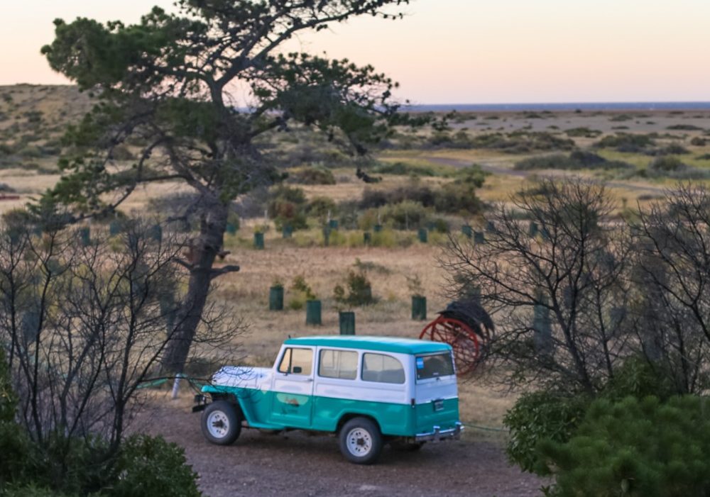 WhatsApp Image 2024-04-17 at 11.22.56 (1)