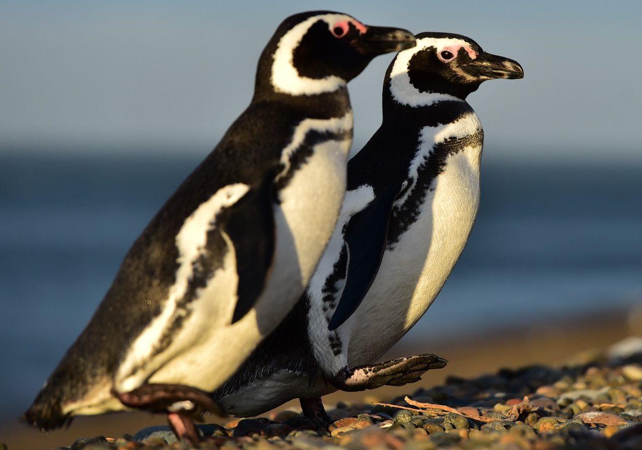 WhatsApp Image 2024-04-17 at 11.22.56 (2)