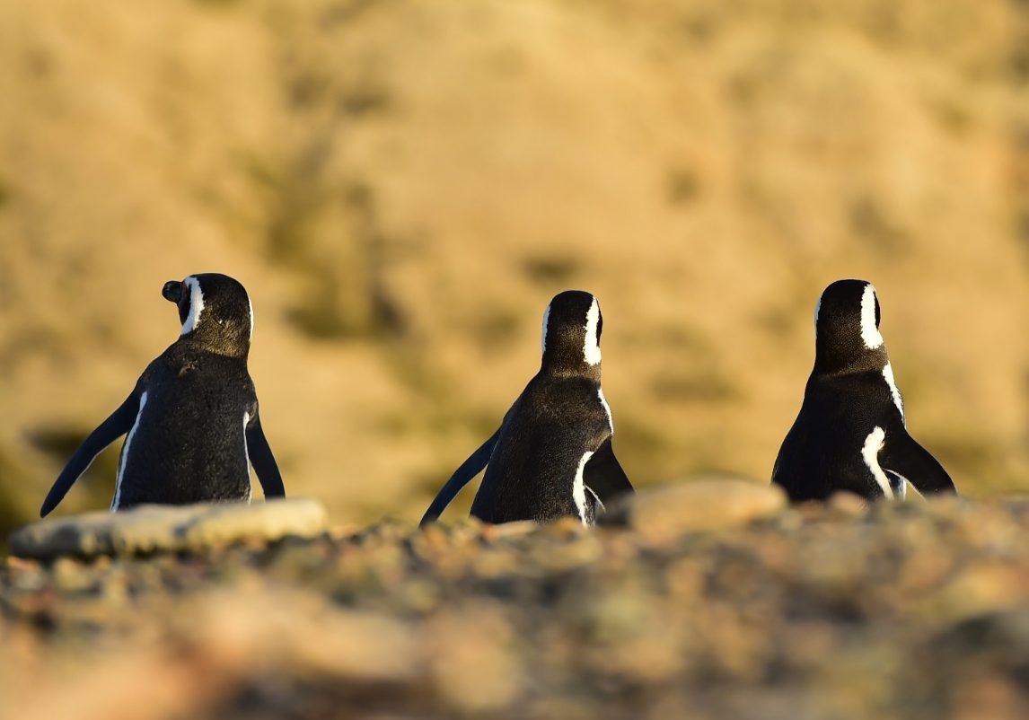 WhatsApp Image 2024-04-17 at 11.22.57 (1)