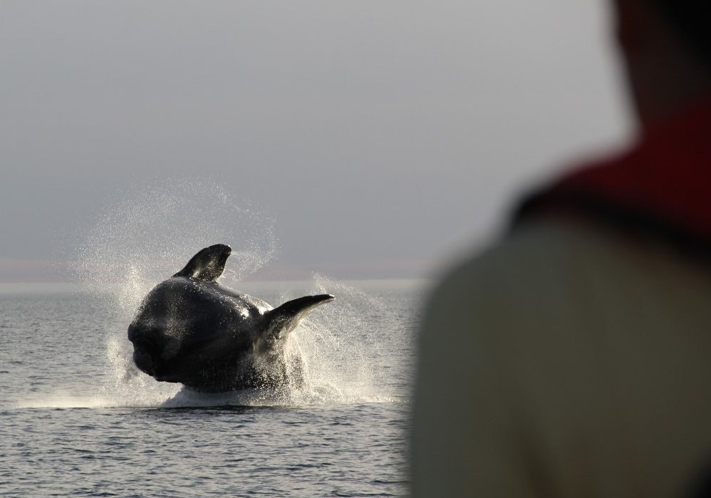 WhatsApp Image 2024-04-17 at 11.36.44 (2)