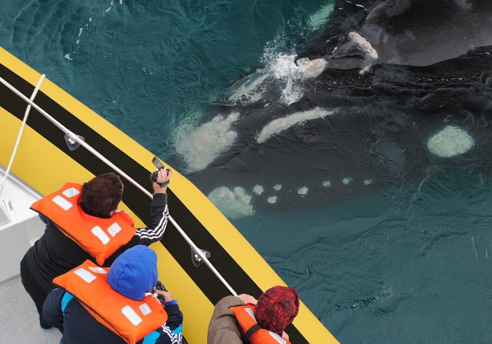 WhatsApp Image 2024-04-17 at 11.36.46 (1)