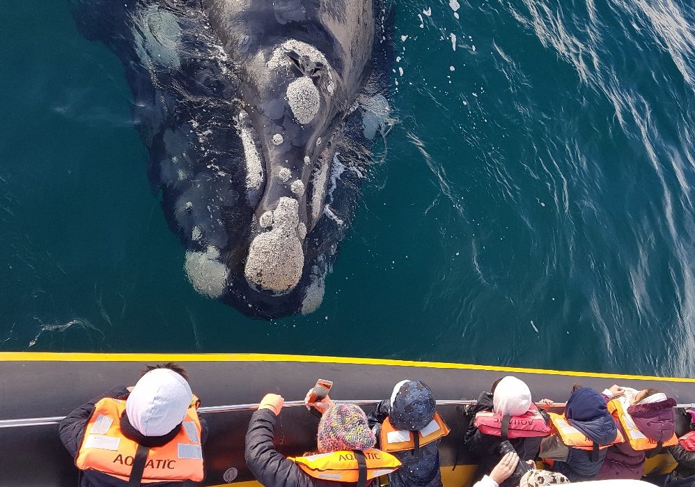 WhatsApp Image 2024-04-17 at 11.36.46 (2)