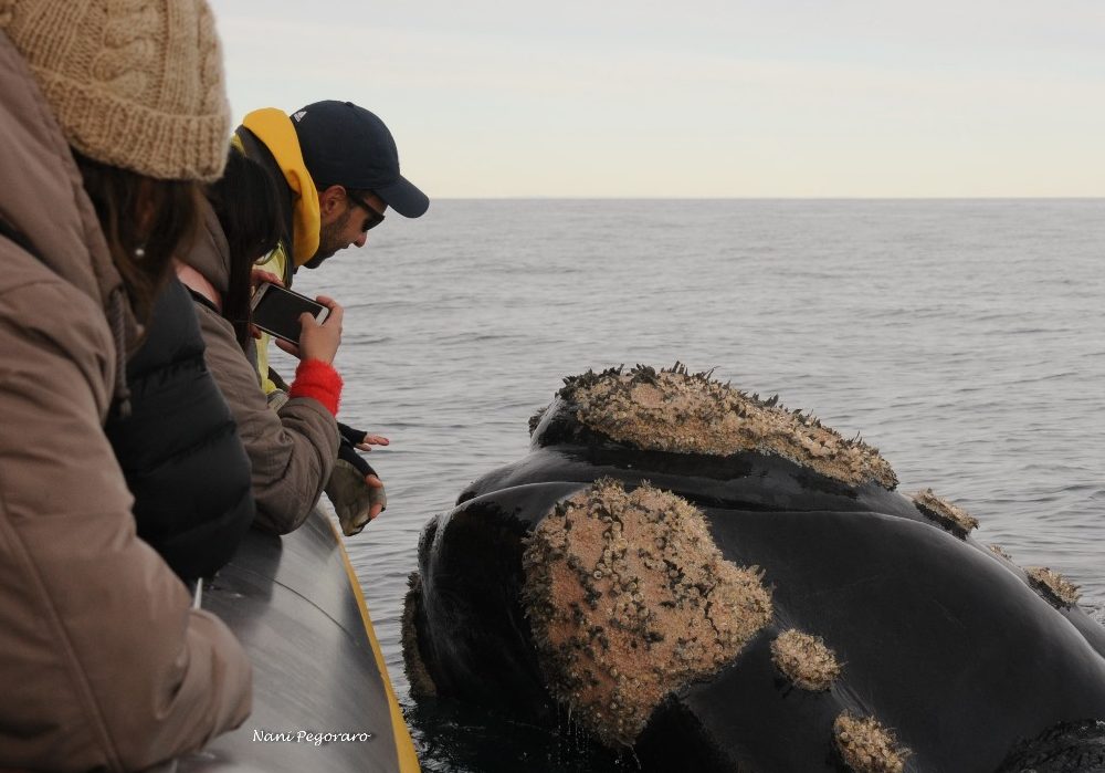 WhatsApp Image 2024-04-17 at 11.36.47 (2)