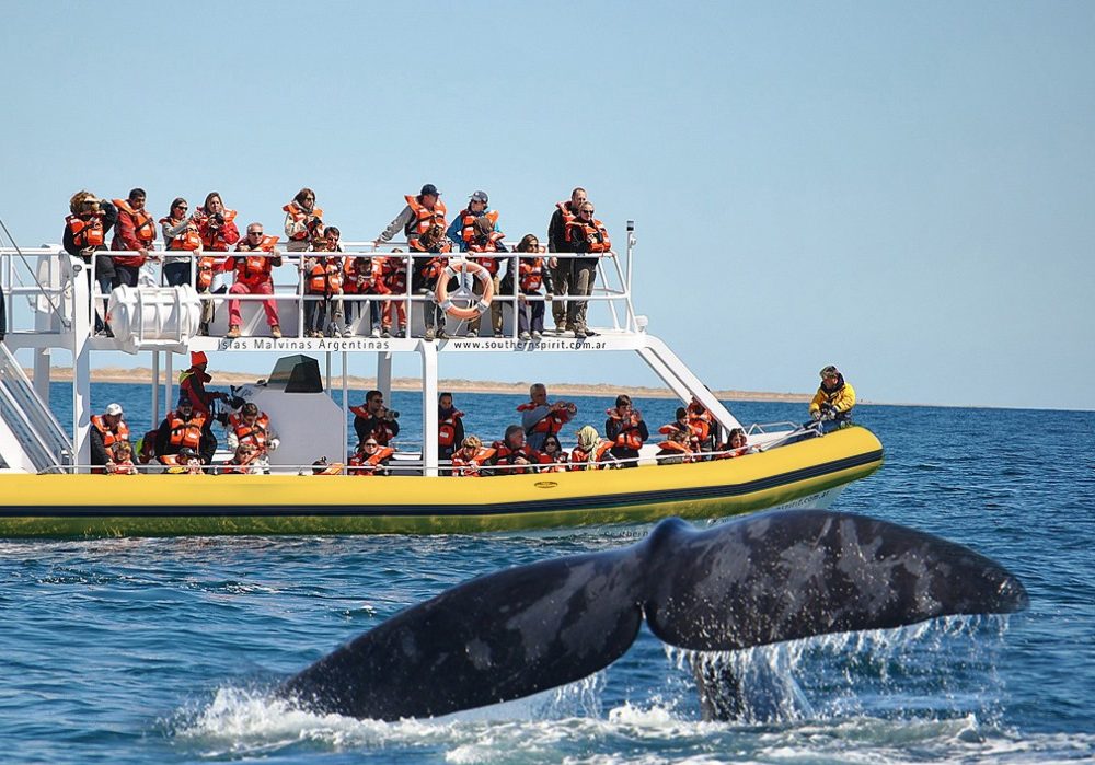 WhatsApp Image 2024-04-17 at 11.36.48 (1)