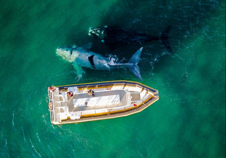 WhatsApp Image 2024-04-17 at 11.36.48 (2)