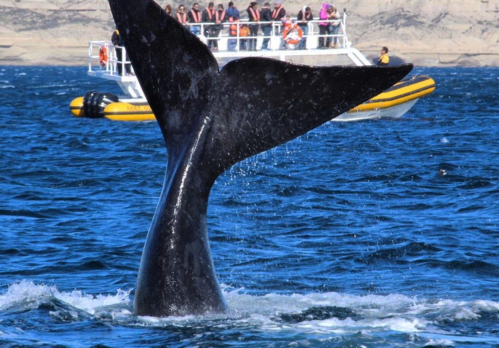 WhatsApp Image 2024-04-17 at 11.36.48