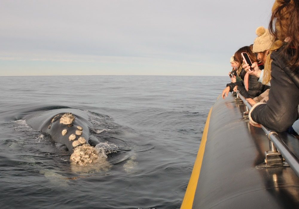 WhatsApp Image 2024-04-17 at 11.36.49