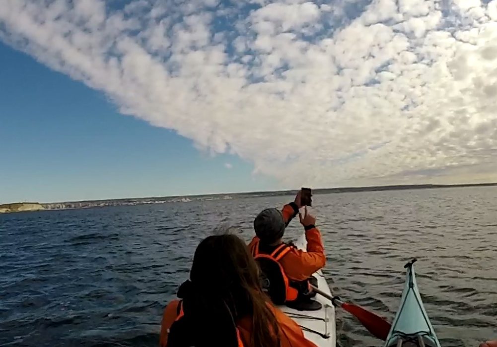 GOPR0147.MP4_snapshot_01.21_[2023.09.03_18.48.09]