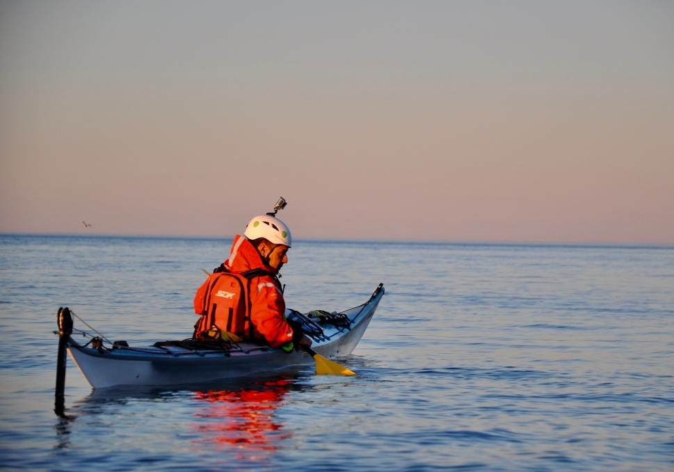 IMG-20230804-WA0098 (1)