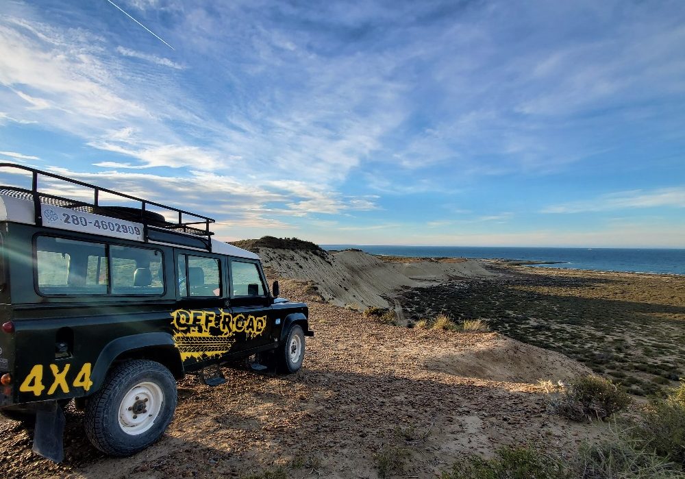 WhatsApp Image 2024-05-03 at 15.25.26