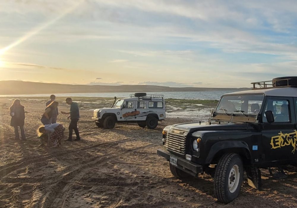 WhatsApp Image 2024-05-03 at 15.25.33 (3)