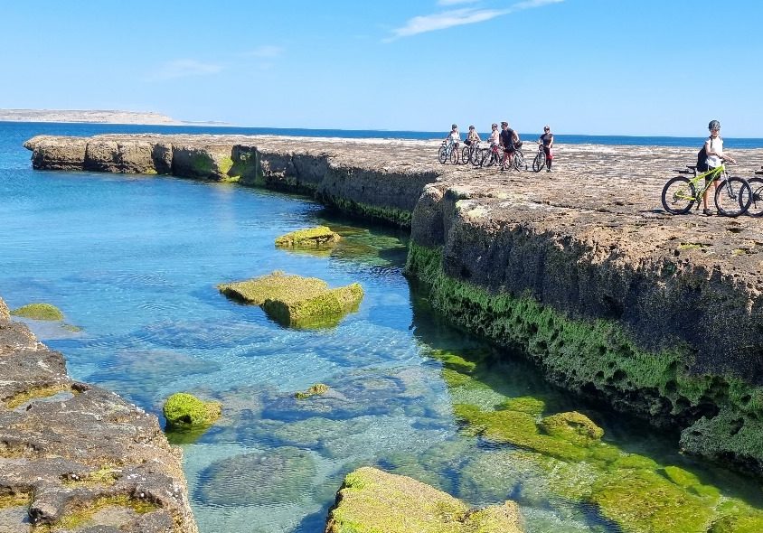 WhatsApp Image 2024-05-08 at 18.34.24 (1)