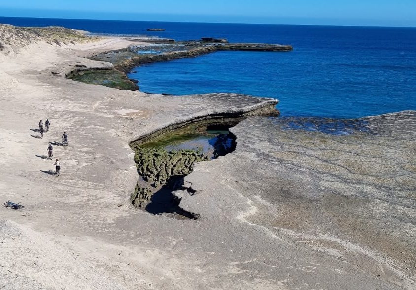 WhatsApp Image 2024-05-09 at 19.54.54