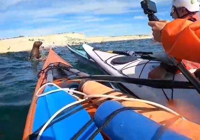 WhatsApp Image 2024-05-15 at 16.45.40