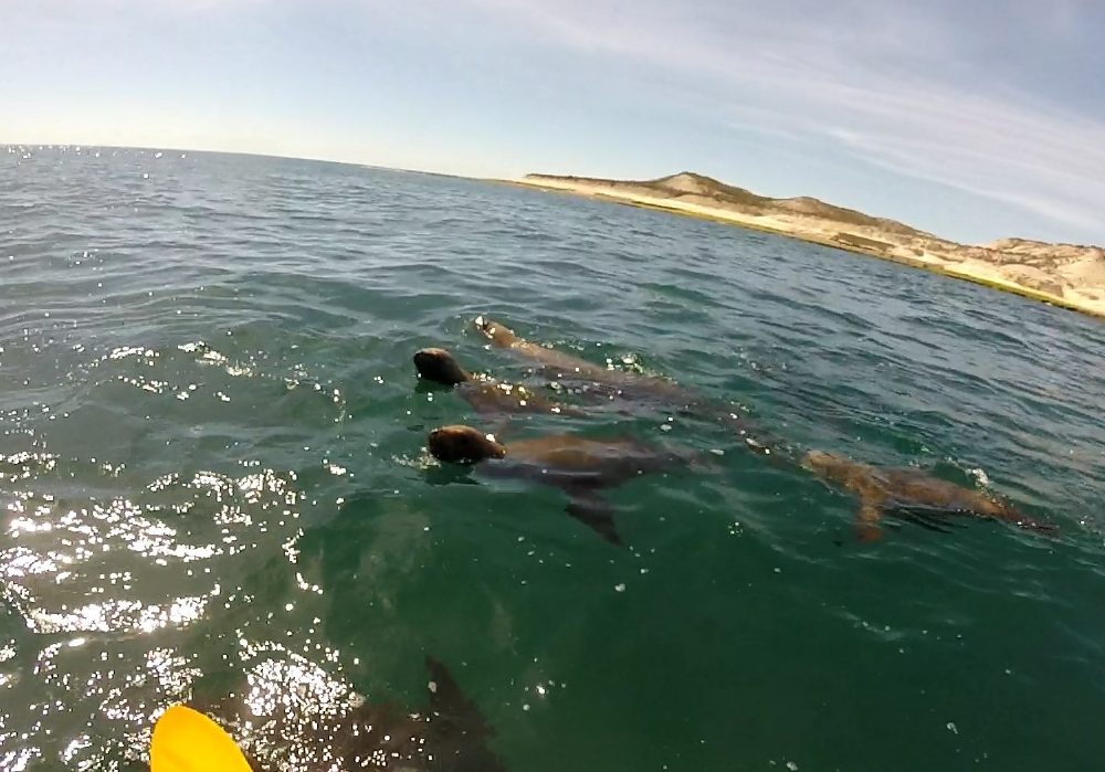 WhatsApp Image 2024-05-15 at 16.45.41 (1)