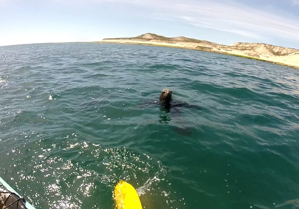 WhatsApp Image 2024-05-15 at 16.45.41 (3)