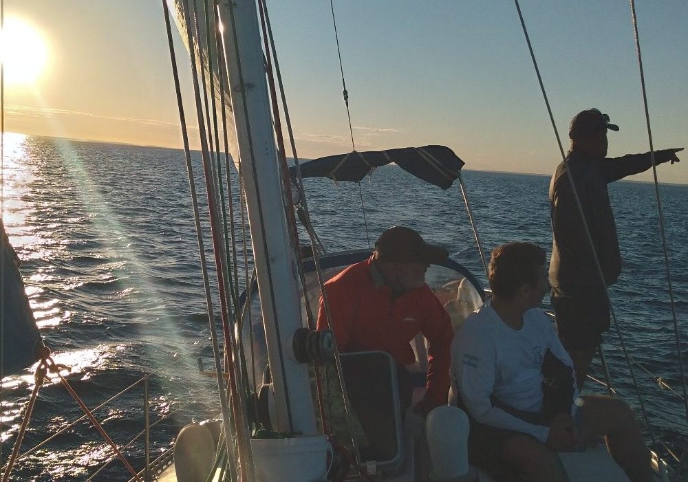 WhatsApp Image 2024-05-22 at 10.49.12 (16)