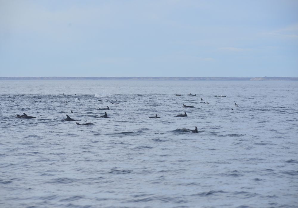 Diseño sin título (14)