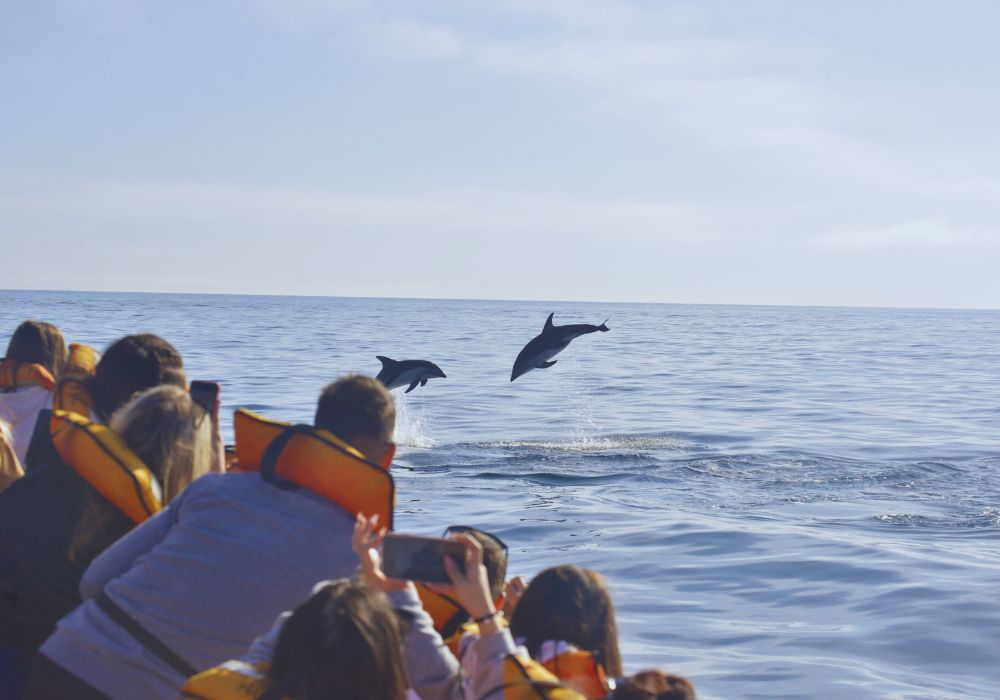 Diseño sin título (15)