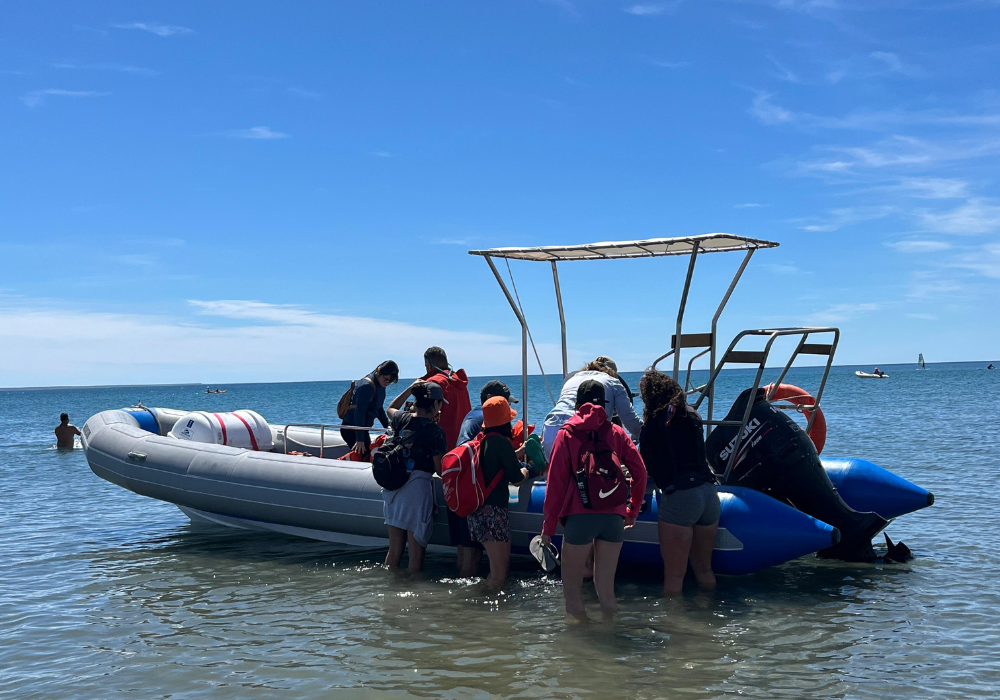 Diseño sin título (4)