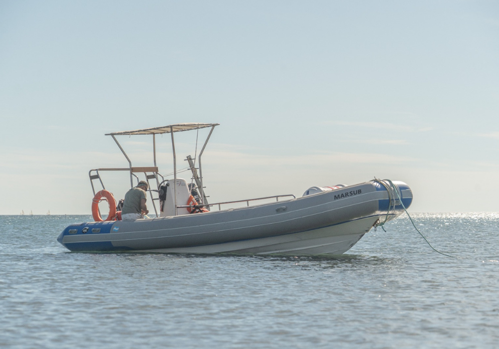 Diseño sin título (5)